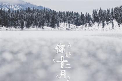 干净励志短句图片 懂我的人，不需要我解释