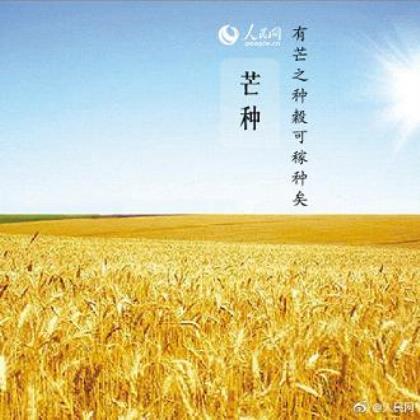 干净励志短句图片 懂我的人，不需要我解释