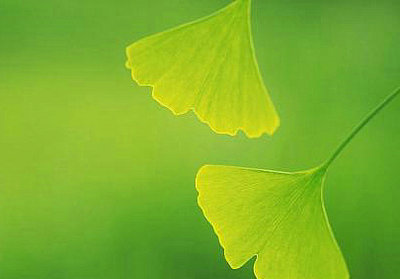 愿你生命中有够多的云翳，来造成一个美丽的黄昏