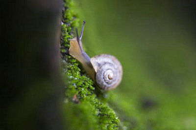 愿你生命中有够多的云翳，来造成一个美丽的黄昏