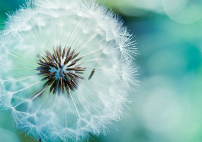 唯美的句子配图片：我们终究只会，属于我们自己