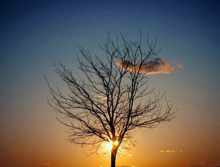 阳光透入我的眼睛，告诉了我并不孤单