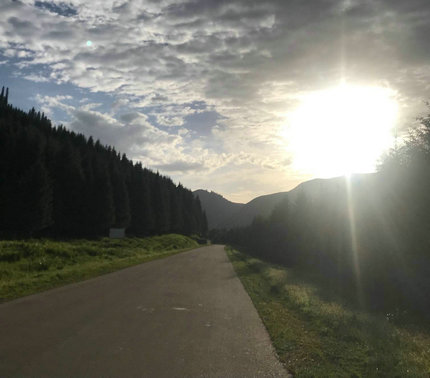 阳光透入我的眼睛，告诉了我并不孤单