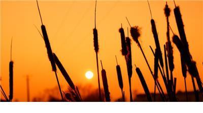 励志说说致自己朋友圈 我不会让别人夺走我的