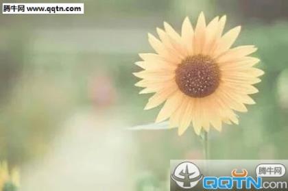 10个簸箕的女人命苦 命苦的女人说说