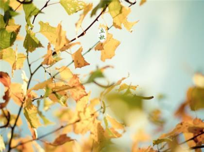 希望你有一个美好的一天!