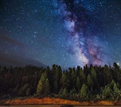 三八妇女节销售广告语 2021最火广告词