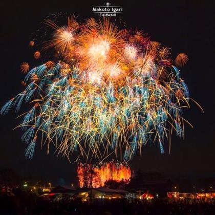 每日正能量的段子 工作每日一句正能量