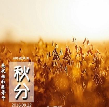 压力励志说说心情短语 它将使我们战无不胜