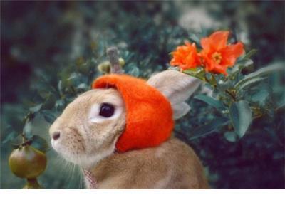 珍惜时间手抄 报图