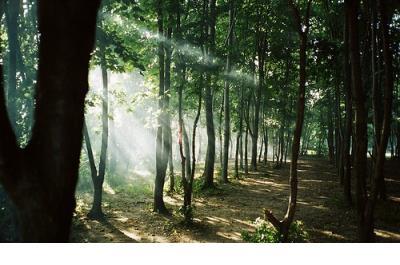 高三毕业典礼班主任讲话