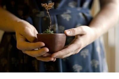 语录正能量短句 每日晨语正能量