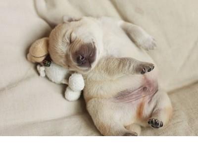 一年一度的元宵节说说 只有不怕死的人才配活