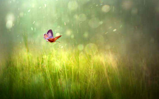 关于唯美伤感的句子，唯美意境伤感的句子