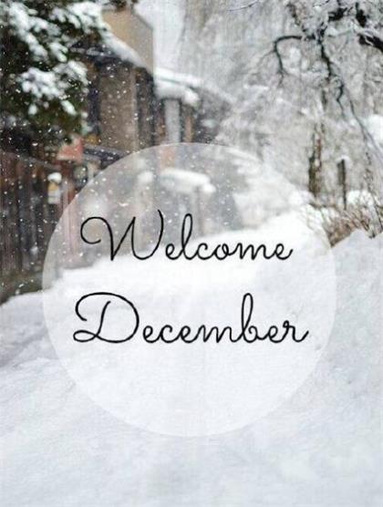 伤感说说2021最新情感 请不要忘记，您根本不是一条鱼