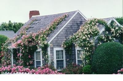 抖音经典现实爱情语录 经典说说长句爱情