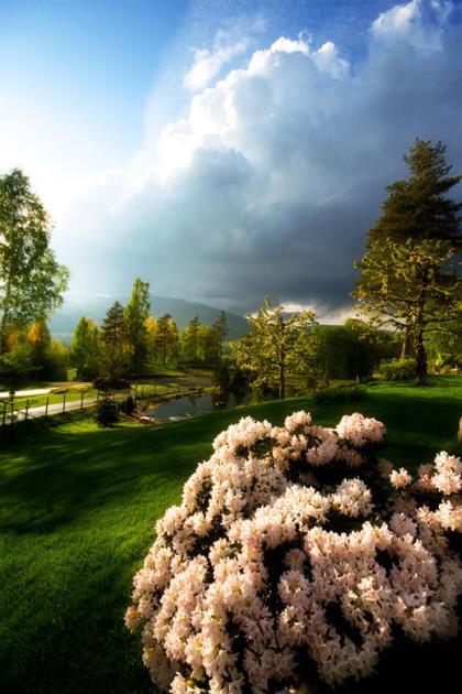 用一句话表达你很穷 但是，我还能做什么呢