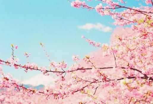 努力赚钱的励志句子 人生励志语录短句