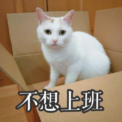 如果可以，一切都只是如果