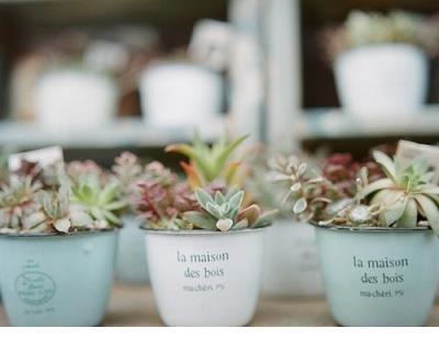 泰戈尔10句美到极致的句子 元旦祝福美句18字左右