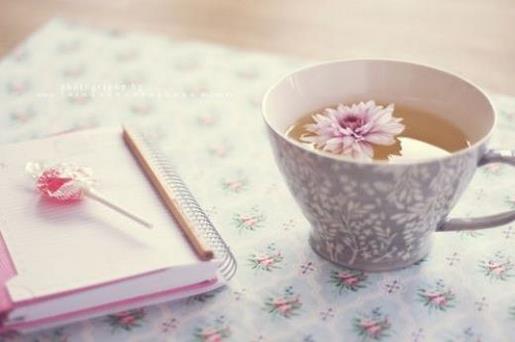 12月请对我好一点 朋友圈文案