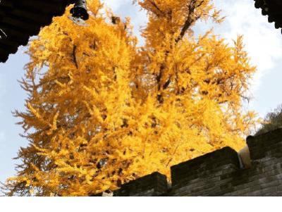 祝自己生日快乐的句子简短 勇敢的人是自己最大的敌人