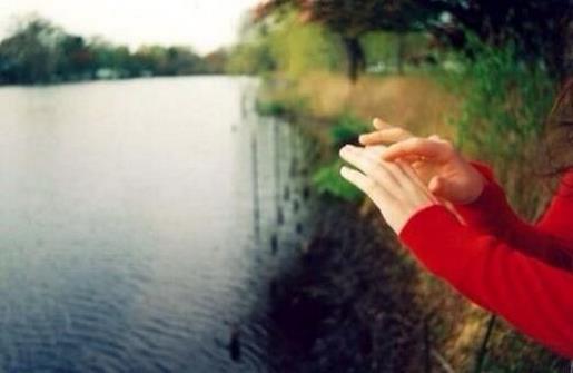 林清玄经典语录大全句子