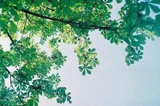 同学不在了伤感说说 同学去世了心情说说