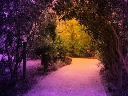 同学不在了伤感说说 同学去世了心情说说