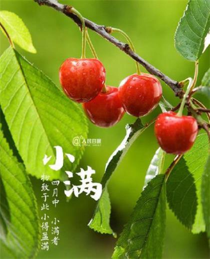 qq空间霸气说说带图片