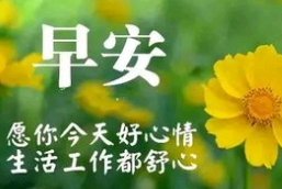 感悟人生早安的经典句子