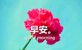 说起早安的句子