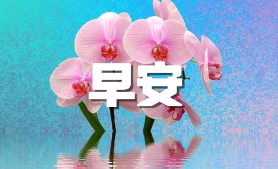春天早安句子