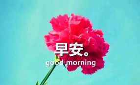 新款早安带字图片 句子