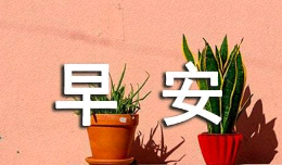 问早安的句子 温暖短句