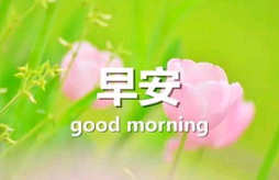 小主们早安句子
