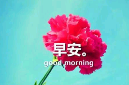 致爱自己的人早安句子