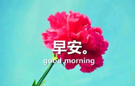 早安努力奋斗的句子