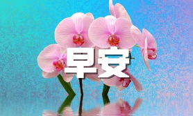 朋友圈早安正能量的句子带图