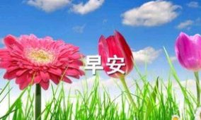 早安开心一点的句子