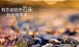 励志有内涵长点的句子说说心情