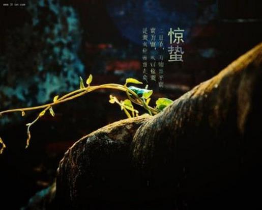 早晨励志语录正能量 愿我有资格为国效力