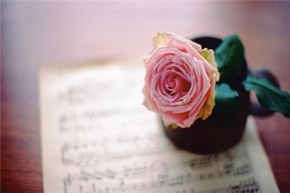 天气严热注意防暑图片 2021下雪天注意保暖问候语