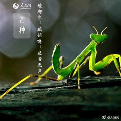 个性签名伤感 关于一个人孤独的签名