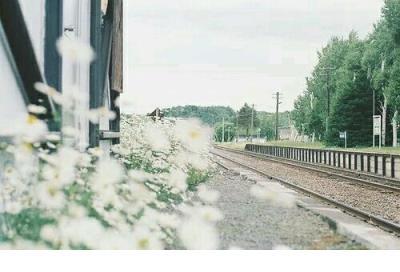 感恩暖心励志图片 午安励志的暖心句子