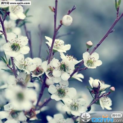 闺蜜结婚怎么发朋友圈