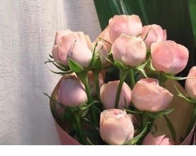 美白保湿面膜排行榜10强 美白面膜广告语