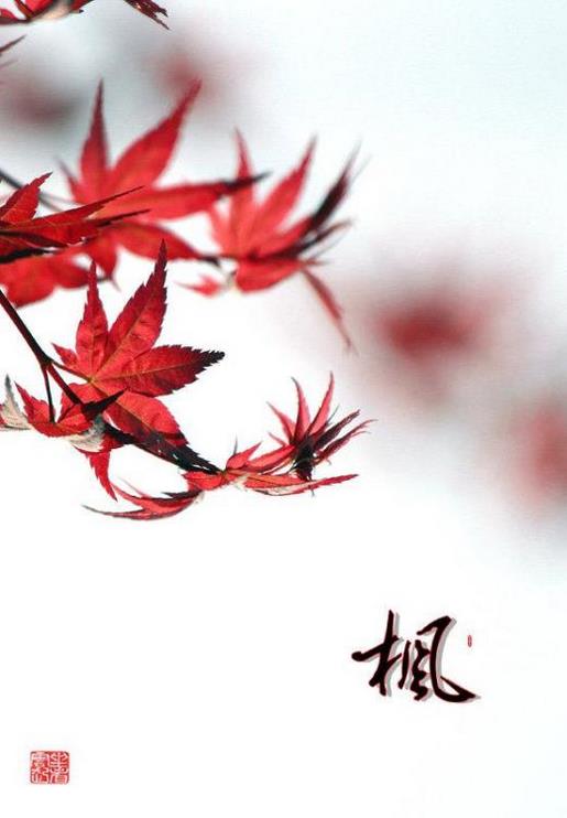便利店元旦促销广告语 便利店广告宣传标语