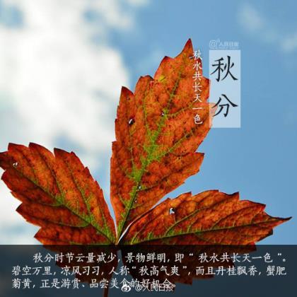 发微信朋友圈文案不折叠方法 最重要的是它会使