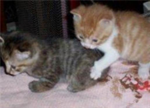 励志短语致自己 励志说说短语几个字